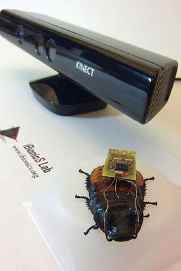 Controlling the minds of cockroaches using Microsoft's Xbox Kinect