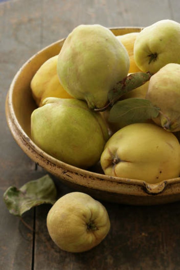 Quinces. Food preparation and styling by Caroline Velik.