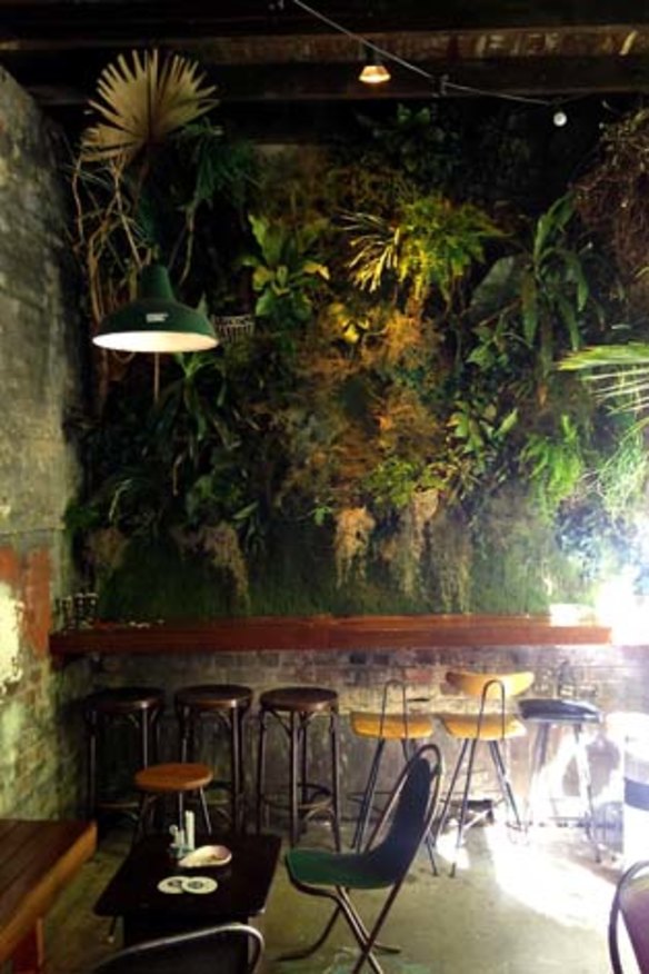 The green wall at Arcadia Liquors in Redfern.