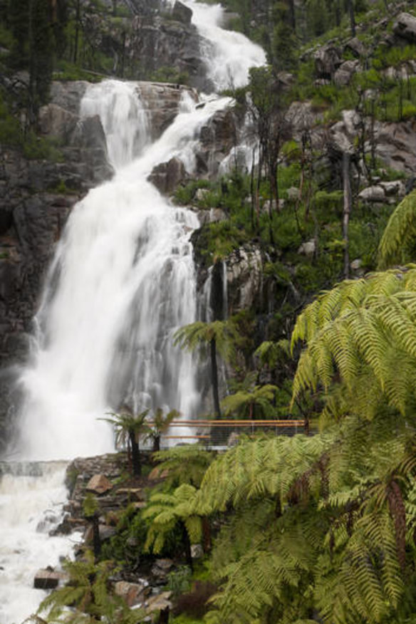 Steavenson Falls.