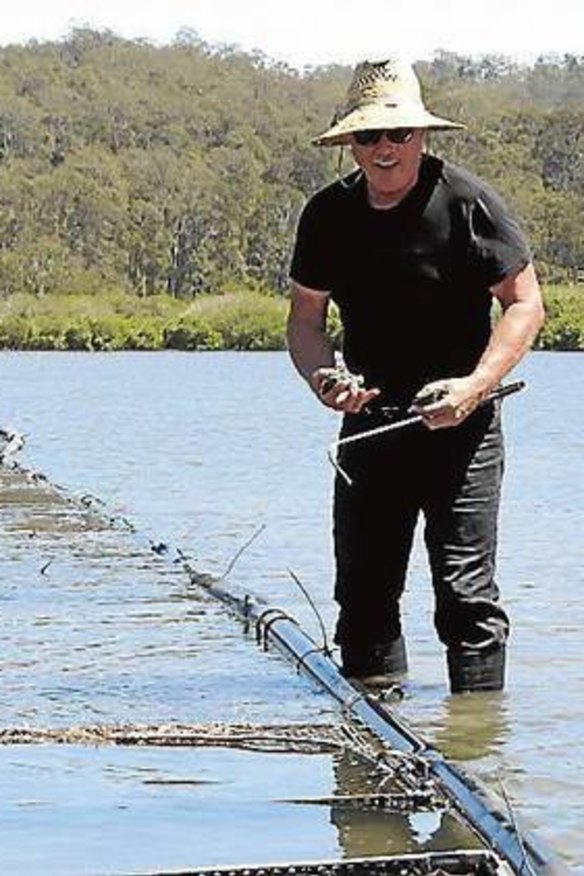 Steve Feletti, owner of The Moonlight Flat Oyster Company in the Clyde River, Batemans Bay.