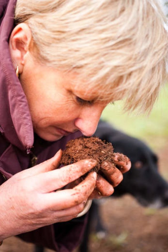 Lynette Haas smells a truffle to gauge its ripeness.