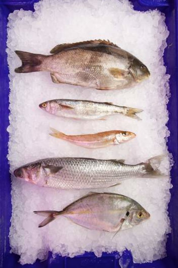 Sustainable local Victorian fish include, from top, black bream, yellow eye mullet and silver whiting, sea mullet and silver trevally.