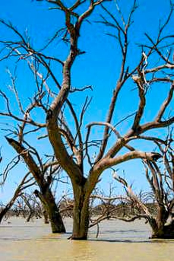 Communities in the Murray-Darling Basin deal with many challenges, including drought and flooding.