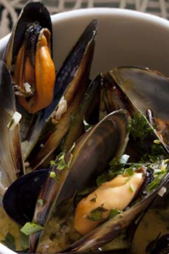 Don't throw unopened mussels away without checking they're edible.