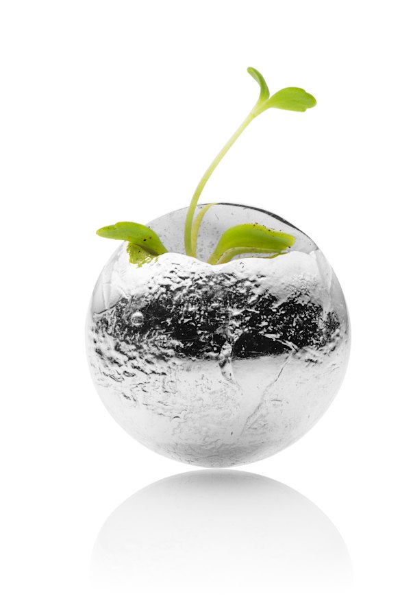 Clare Poppi, <i>Growing Brooch,</i> 2017, in <i>Mark Making: Bench</i> at Craft ACT.