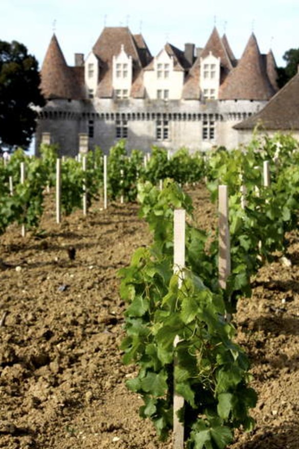 Ideal soils are key to France's diverse wine industry.