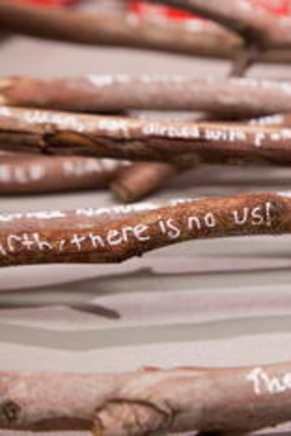 Students twig to the nesting instinct