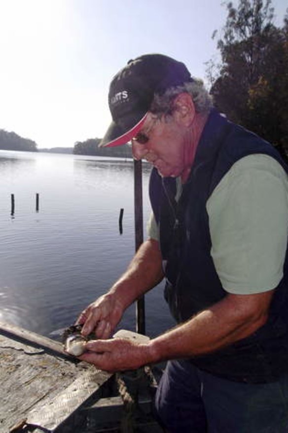 Narooma oyster grower David Maidment.