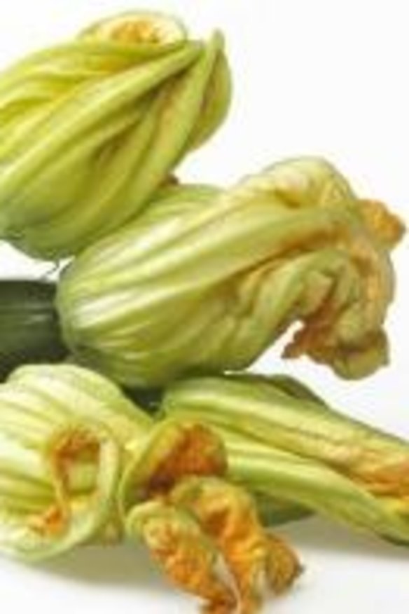 Great producers: Zucchini plants are vigorous.