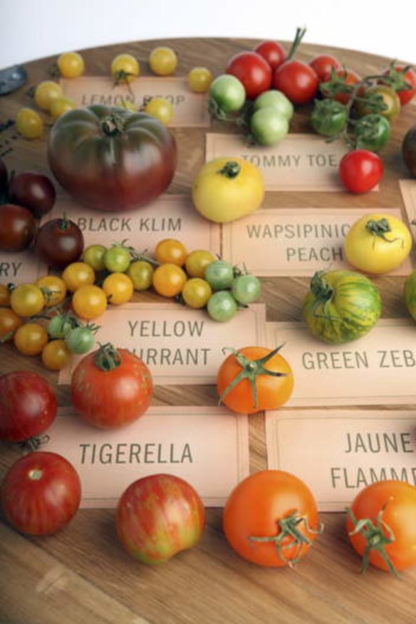 Pick of the crop: Heirloom tomatoes come in a range of shapes and colours.