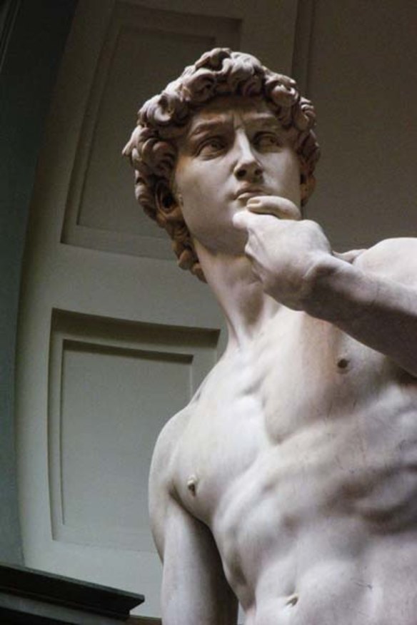 David . . . Michelangelo carved it from Carrara marble.