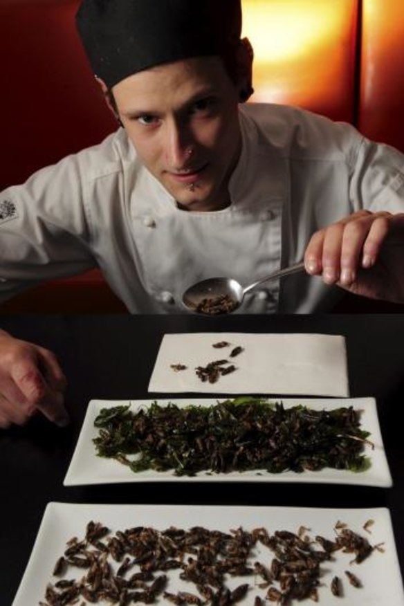 Apprentice chef Mark Thompson with a plate of roasted crickets.