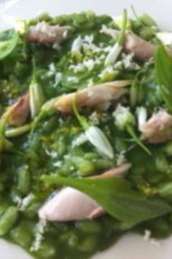 Stinging nettle and mackerel risotto from Stackings.