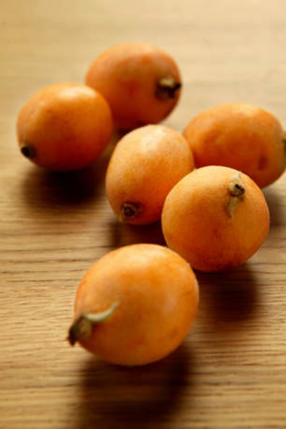 Unloved: Loquats are heavy with pips.