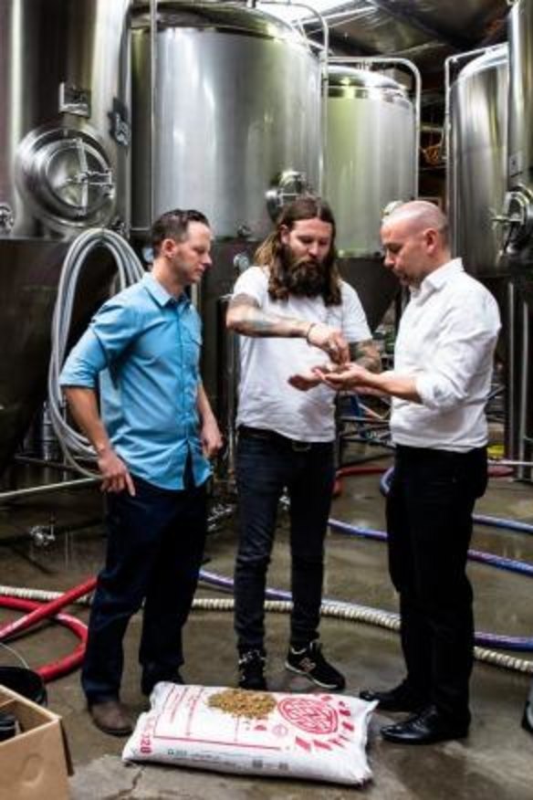 Solar-powered beer: Solar energy specialist Jake Steele, Young Henrys co-owner Oscar McMahon and Tom Nockolds from Pingala have the answer to "renewable" beer.