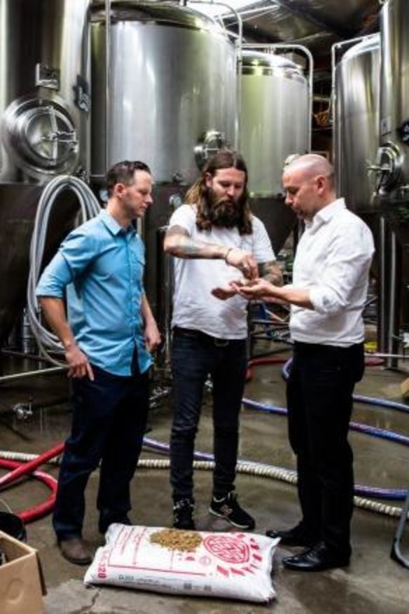 Solar-powered beer: Solar energy specialist Jake Steele, Young Henrys co-owner Oscar McMahon and Tom Nockolds from Pingala have the answer to "renewable" beer.