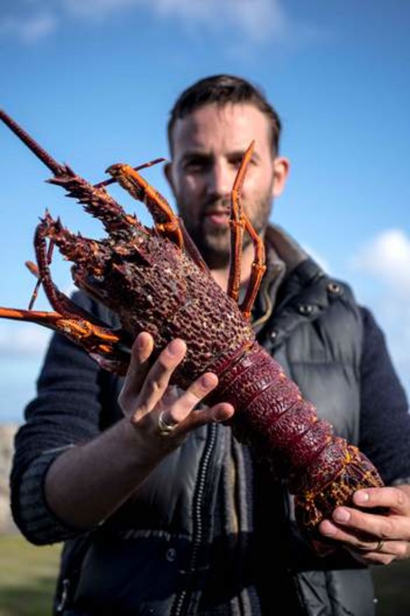Pure South chef Ashley Davis with the rock lobster he caught in the waters off King Island.