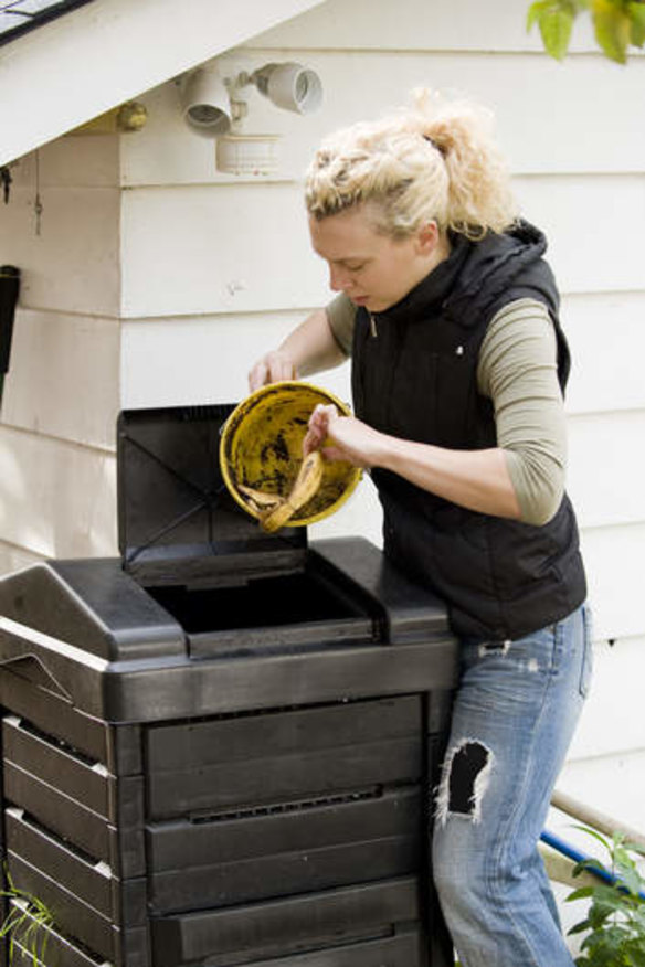 Compost can be a rich resource for building up the fertility and productivity of our gardens.