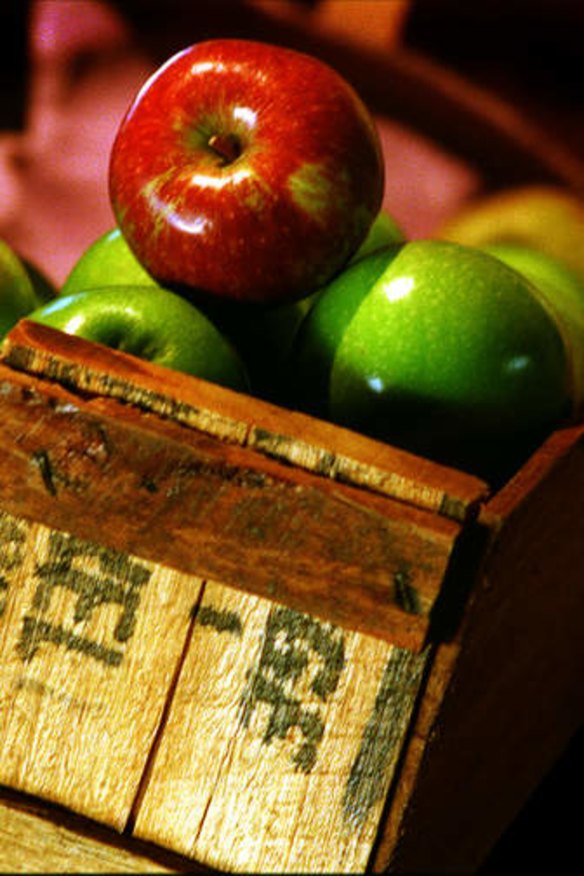 Learn to make your own cider at CERES in Brunswick East, this October.