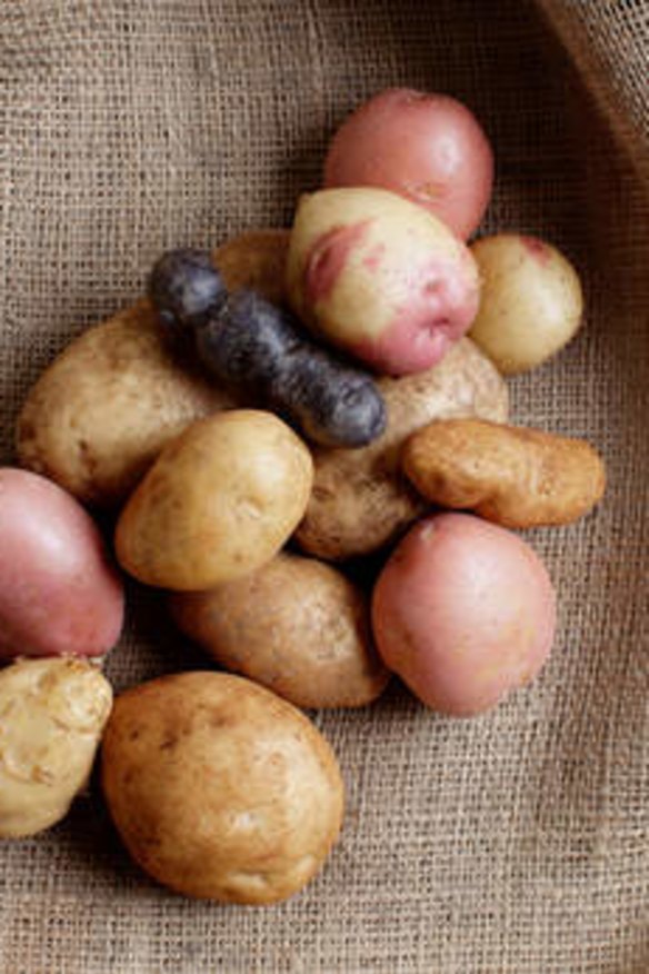 Boil 'em, mash 'em, stick 'em in a stew: power up on potatoes.