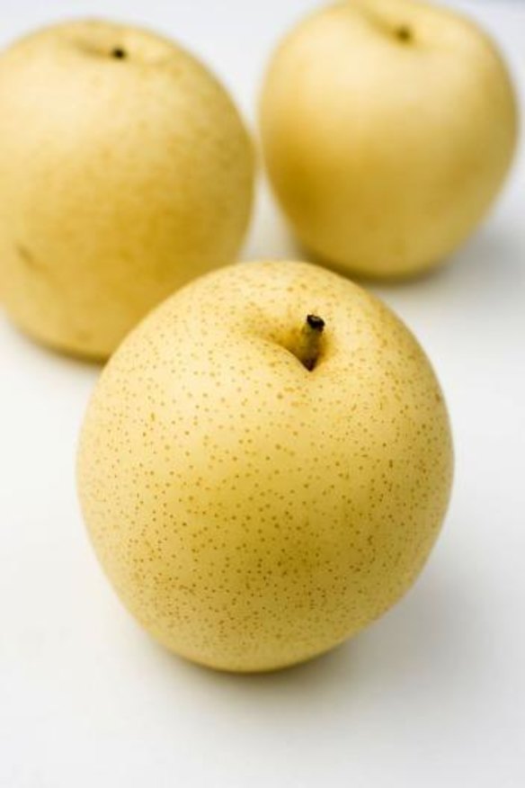 The Korean pear is similar to the nashi.