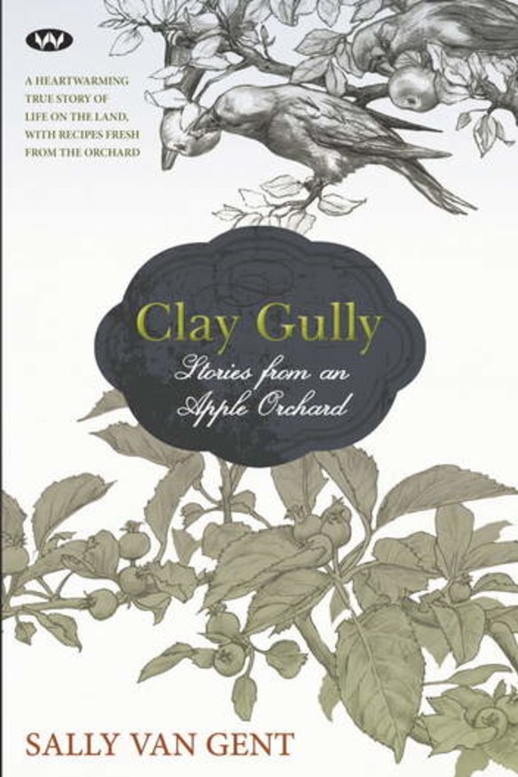 Endearing ... <i>Clay Gully</i>, by Sally Van Gent.