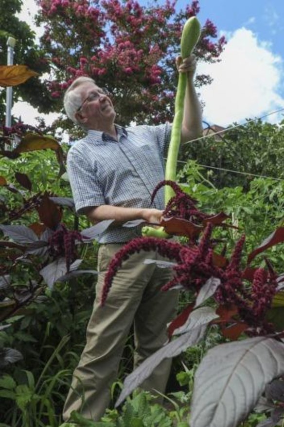 Organic hero: Walter Steensby, of Scullin.