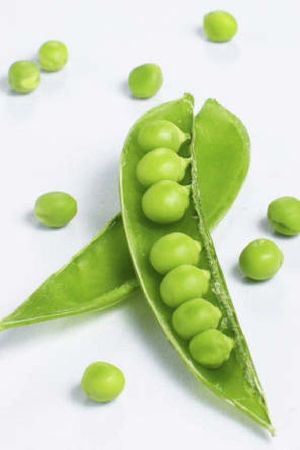 Open sugar snap pea pod - mange-tout.