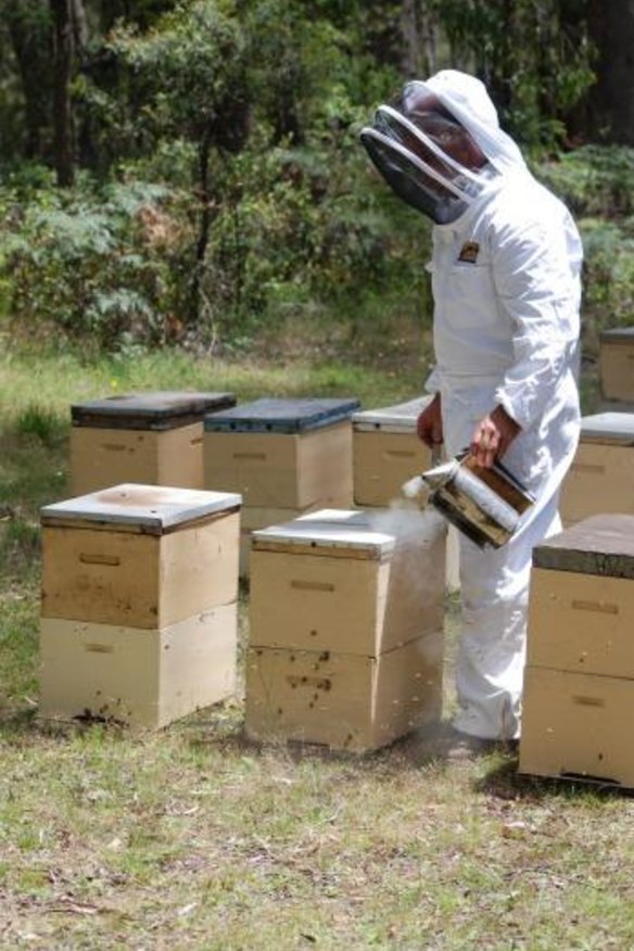 Fourth-generation beekeepers, Beechworth Honey are hosting this year's Beechworth World's Longest Lunch.