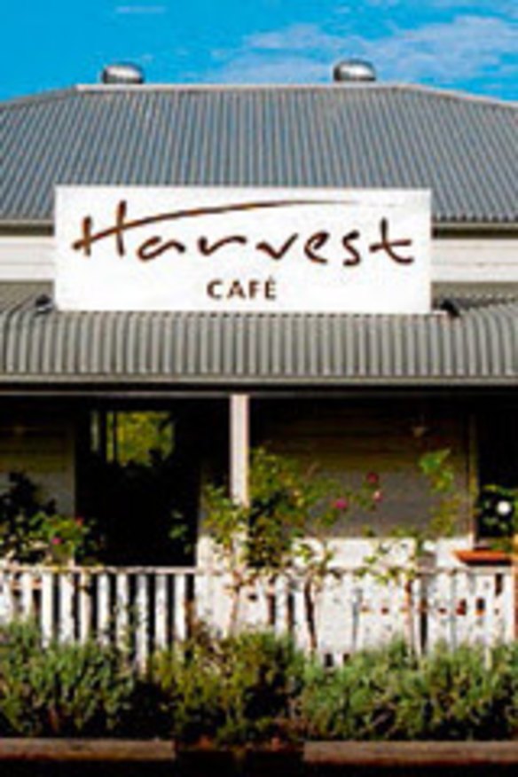 Harvest Cafe Article Lead - narrow