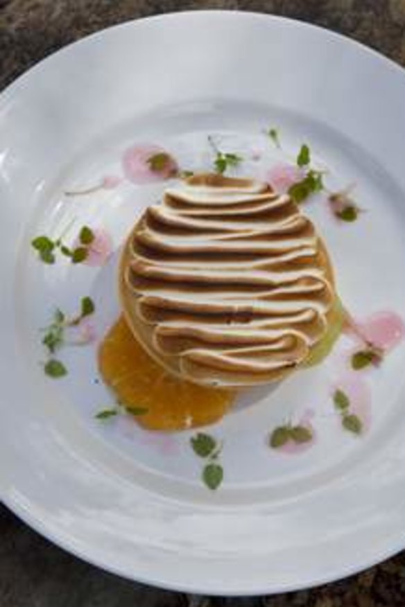Baked lemon tart served with toasted italian meringue, creme fraiche and citrus salad.