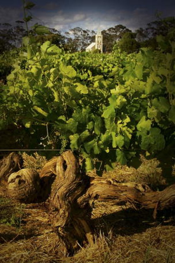 Legendary: Henschke's Hill of Grace vines were planted 150 years ago.