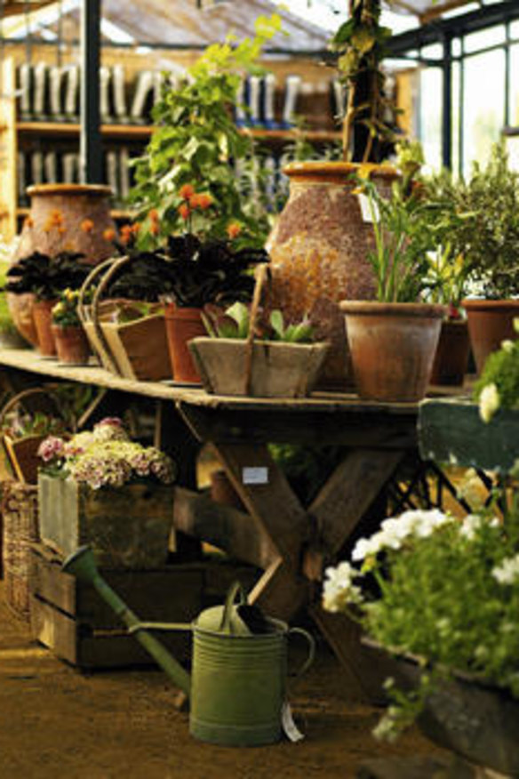 Green scene … one end of the greenhouse houses the restaurant, the other, a nursery shop.