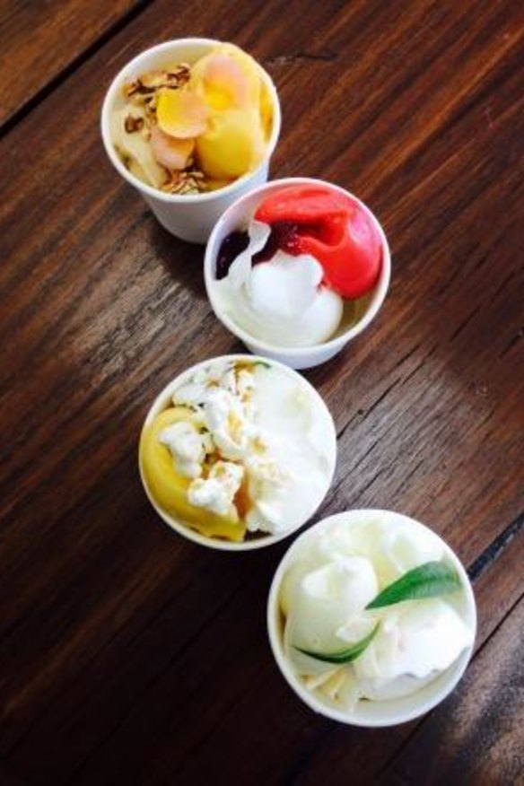 Philippa Sibley's new range of ice-creams.