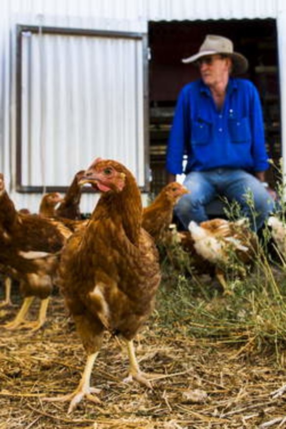 Mulloon Creek Natural Farms manager Graham Cowling says he's "never seen chooks so stress-free" as his.