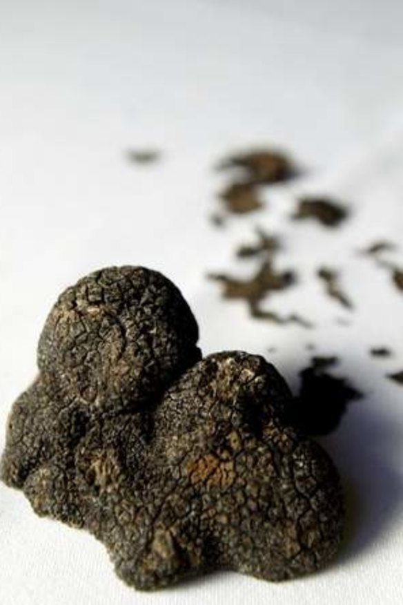 Winter is the perfect time to bring out the truffles.