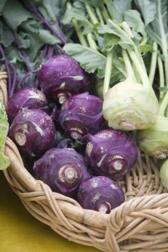 A basket of fresh organic purple and white kohlrabi on display at a local farmer's market.