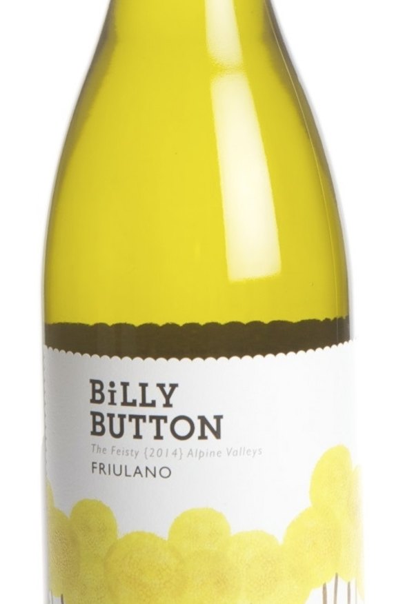 Billy Button The Feisty Friulano.