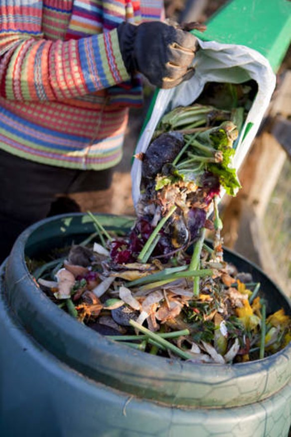 Compost is the most obvious way to get rid of fruit and vegetable scraps.