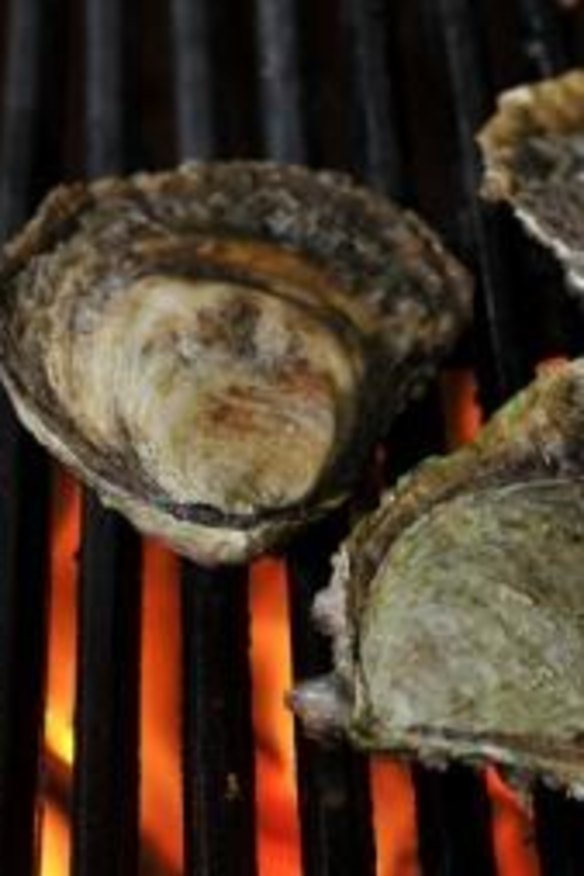 The oysters are woodgrilled and well worth ordering.