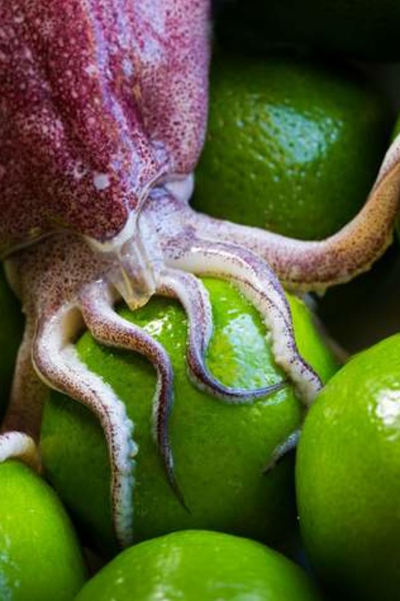 Squid and limes, which together say Thai salad.