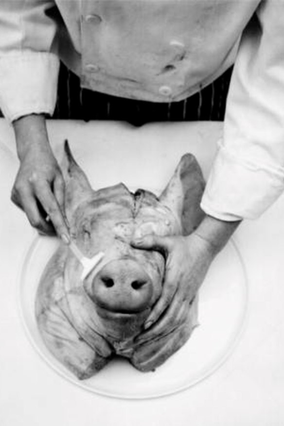 Jason Lowe photograph from Henderson's upcoming book.