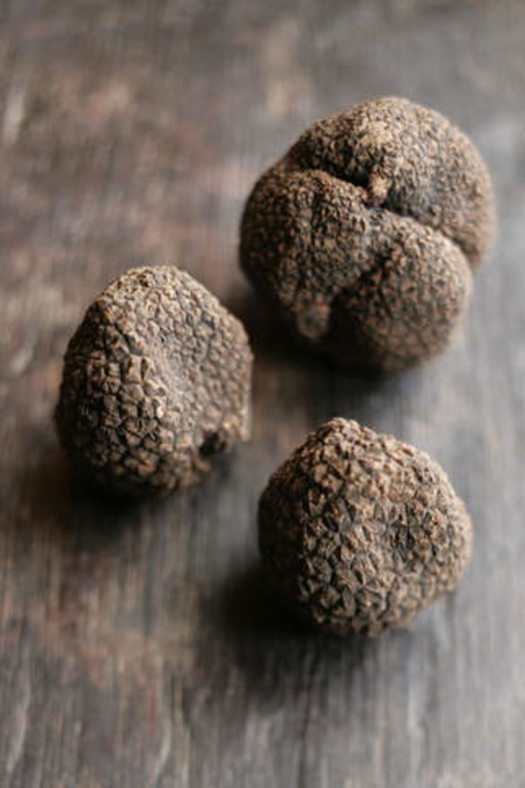 Freshly-harvested truffles can add welcome flavour to many dishes.