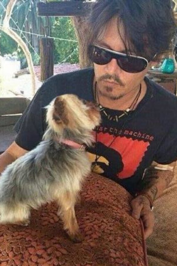 Johnny Depp with one of his dogs.