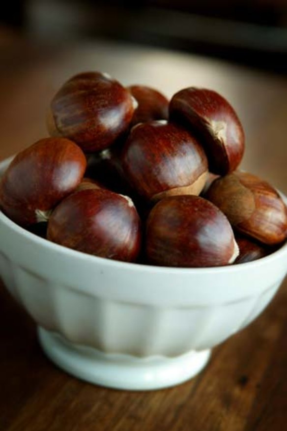 At their best: Chestnuts.