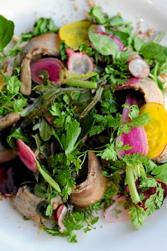 Seared lamb sweetbreads and tongue salad.