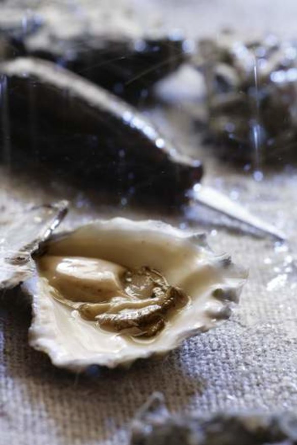 Each coast speciality: Try oysters anywhere from Tweed Heads to Merimbula.