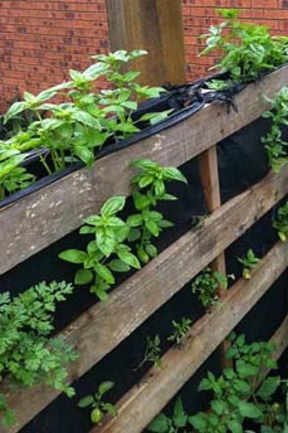 DIY: Learn how to build and maintain your own edible garden.