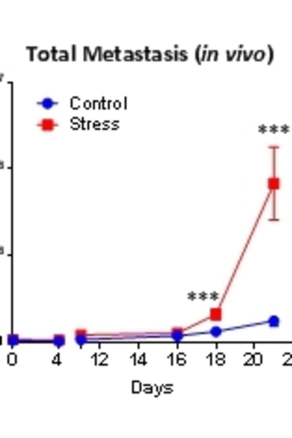 Stressed mice experienced more metastasis (cancer spreading from its original site) compared to otherwise healthy (control) mice. Source Le et al., Nature Communications.